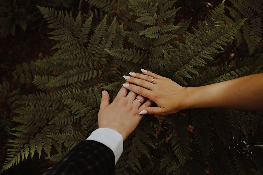 Photographe de mariage Anastasiya Chernyshova (chernyshova). Photo du 27 juin 2019