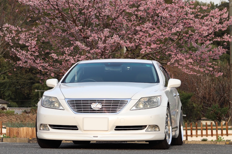 LSの100投稿達成🎊・桜コラボ・自然っていいねに関するカスタム事例の投稿画像1枚目