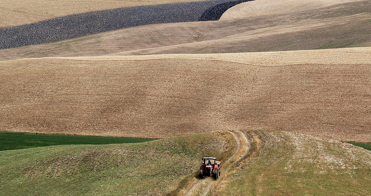 Su e giù di Amadeus