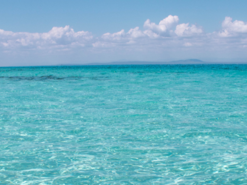 The crystal turquoise blue water of Wasini Island.