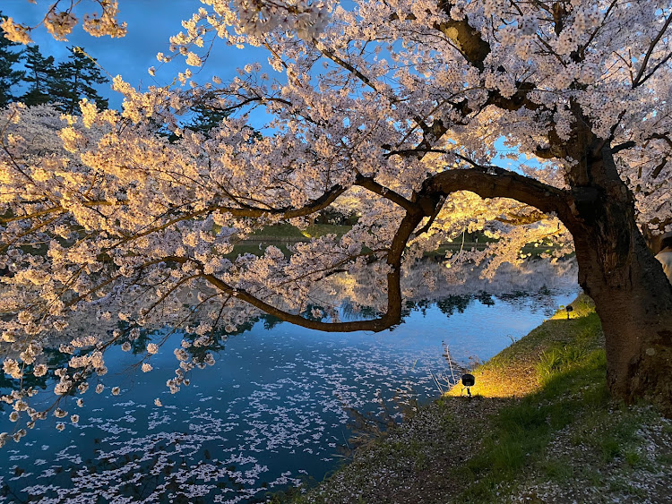 の投稿画像9枚目