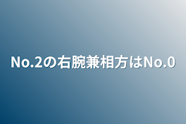 No.2の右腕兼相方はNo.0