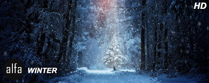 Winter Wallpapers HD Snow New Tab Theme marquee promo image