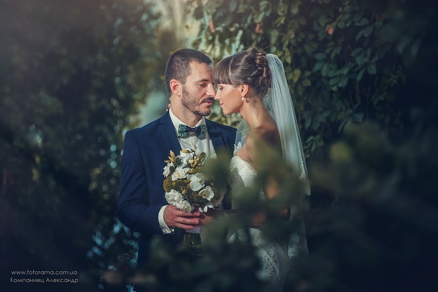 Wedding photographer Aleksandr Kompaniec (fotorama). Photo of 7 September 2015