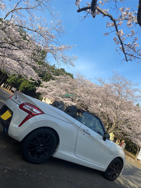 コペンのコロナウイルスに負けるな・桜と愛車に関するカスタム事例の投稿画像2枚目