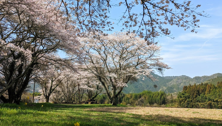 の投稿画像3枚目