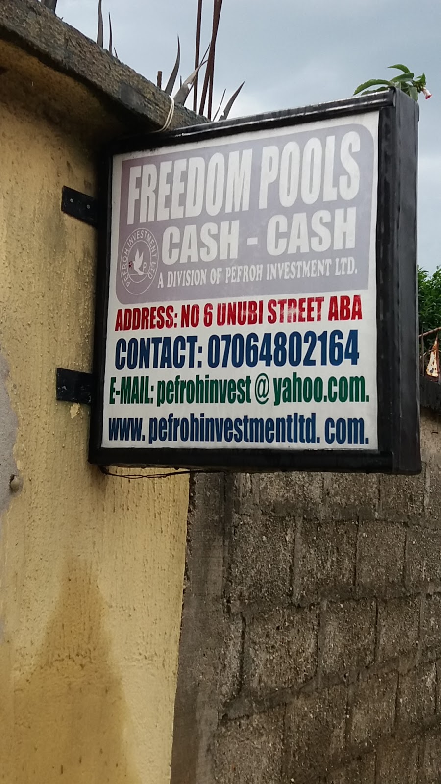 Freedom Pools Cash-Cash