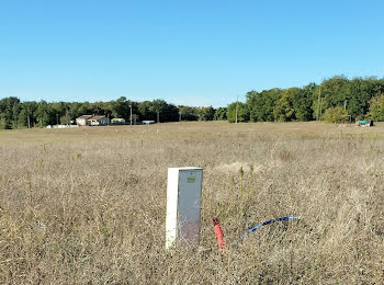 terrain à Neuville-sur-Seine (10)