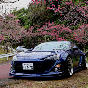 BRZ ZC6