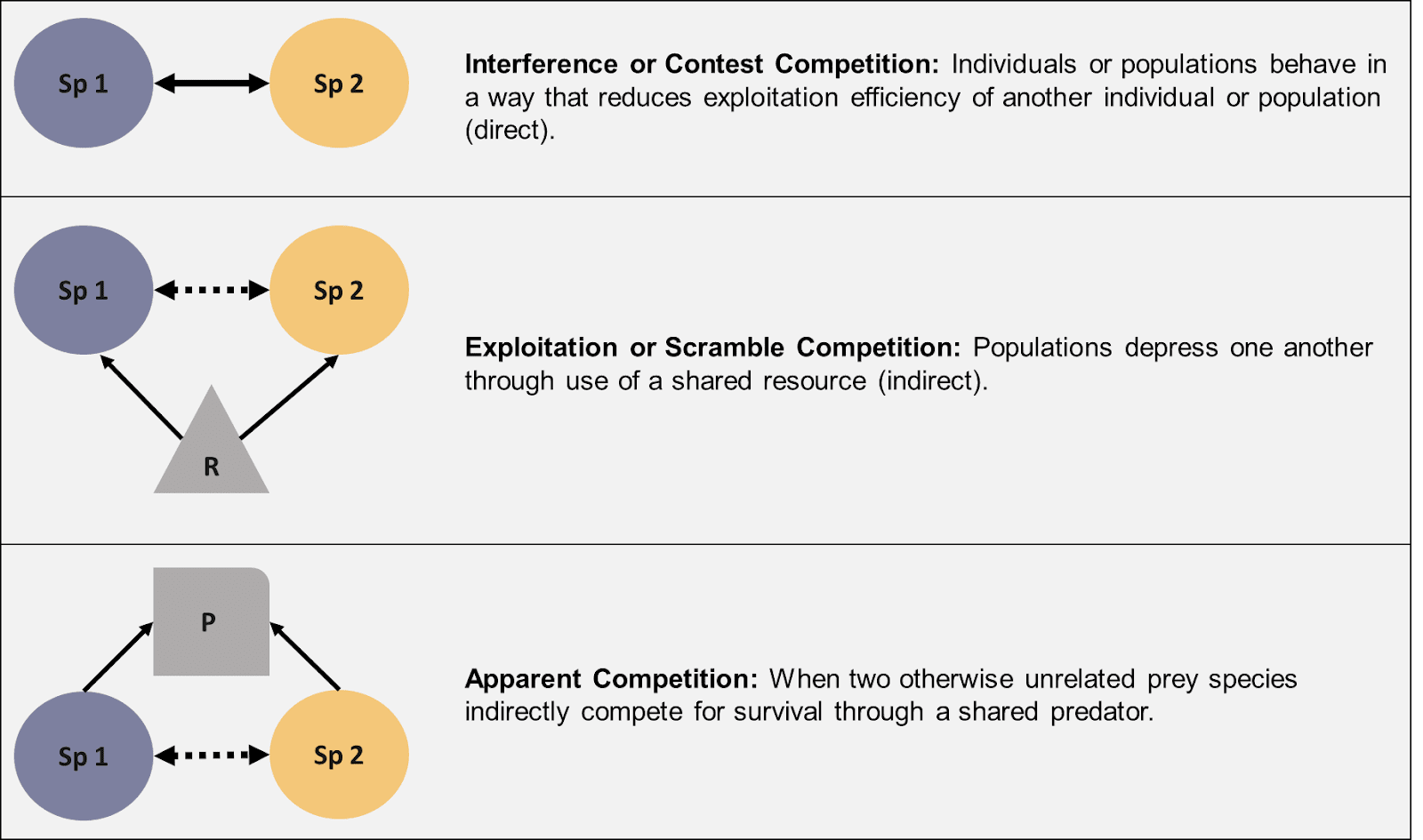 Three panels show three types of competition. The first panel shows two species with a solid, double-ended arrow indicating a direct relationship. The text reads “Interference or Contest Competition: Individuals or population behave in a way that reduces exploitation efficiency of another individual or population (direct)”. The second panel shows two species and a resource arranged in a triangle. The two species have double-ended, dashed, indirect arrow between them. The resource has a solid arrow pointing towards each species, showing a direct relationship. The text reads “Exploitation of Scramble Competition: Populations depressed one another through use of shared resources (indirect)”. The third panel shows two species and a predator arranged in a triangle, with a dashed, indirect double-ended arrow between the species and solid arrows from each of the species to the predator indicating direct relationships. The text reads: “Apparent Competition: When two otherwise unrelated prey species indirectly compete for survival through a shared predator”.