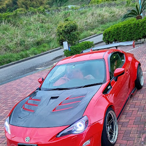 86 ZN6