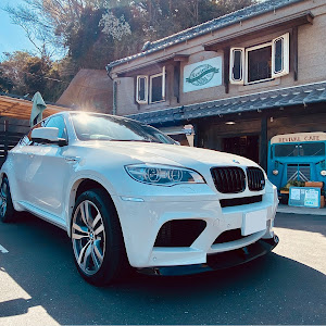 X6 M