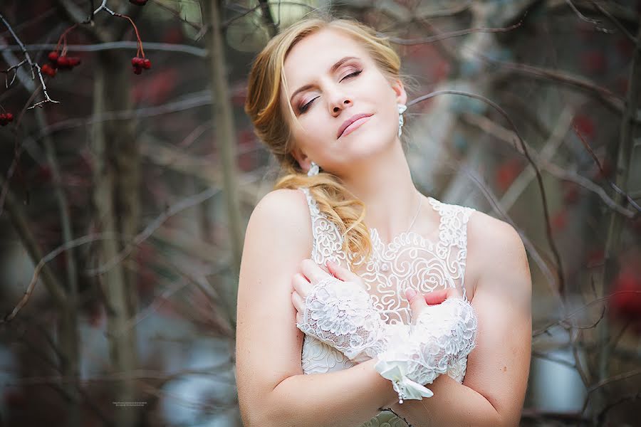 Wedding photographer Oksana Cekhmister (xsanna). Photo of 18 December 2013