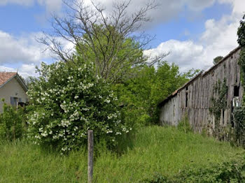 terrain à Bazas (33)