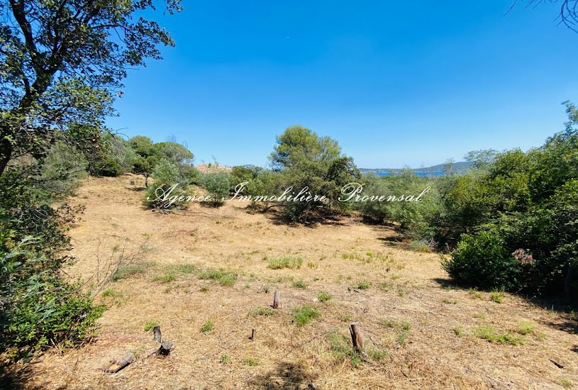  Vente Terrain à bâtir - 3 000m² à Grimaud (83310) 