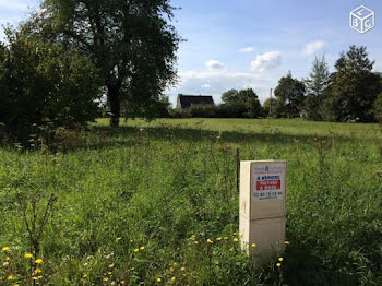 maison neuve à Isle-Aumont (10)