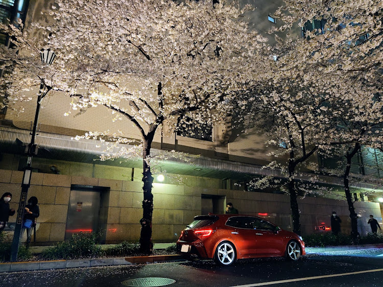 カローラスポーツの桜コラボ🌸・目指せPickUpCars・三越本店・高島屋本店に関するカスタム事例の投稿画像5枚目
