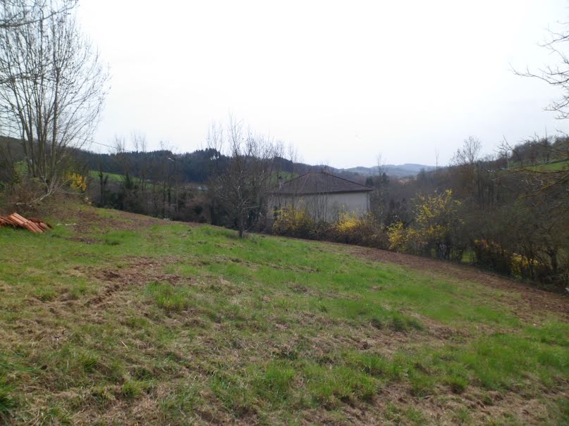 Vente terrain  1000 m² à Cours-la-Ville (69470), 23 000 €