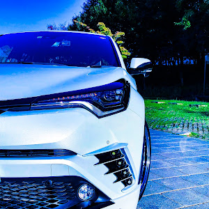 C-HR ZYX10