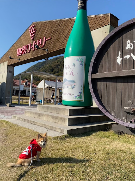 スイフトのかわいい相棒・出雲大社・島根ワイナリー・出雲蕎麦に関するカスタム事例の投稿画像6枚目