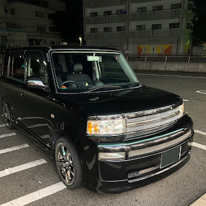 bB NCP31
