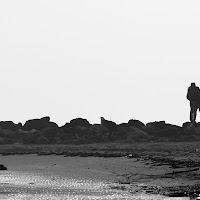 Guardando il mare di 