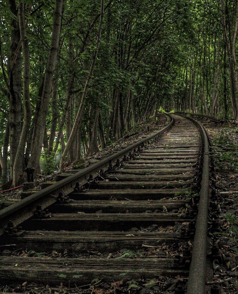 Treno nel tempo di 4sialub