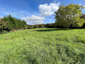 terrain à Luxeuil-les-Bains (70)