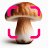 Mushroom Identification icon