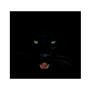 Black Cat Panther