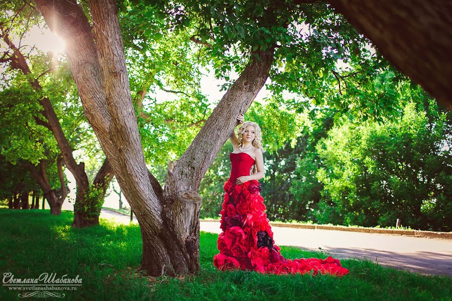 Fotógrafo de casamento Svetlana Shabanova (shabanovasl). Foto de 19 de agosto 2015