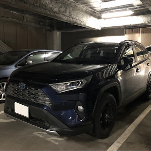 RAV4 AXAH54