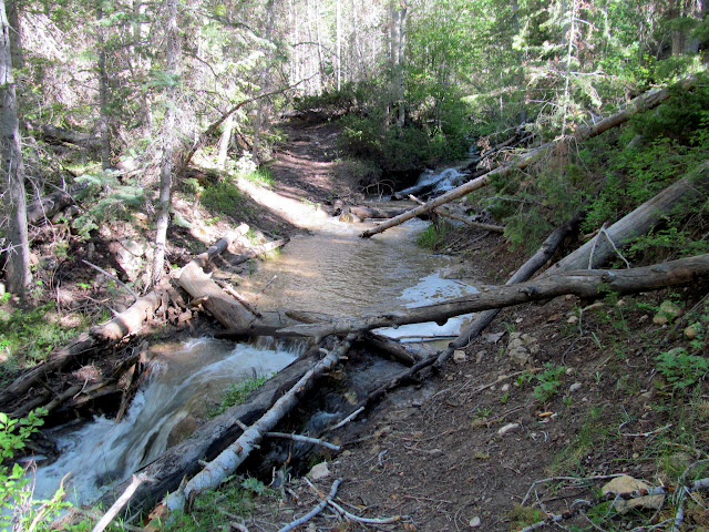 First stream crossing