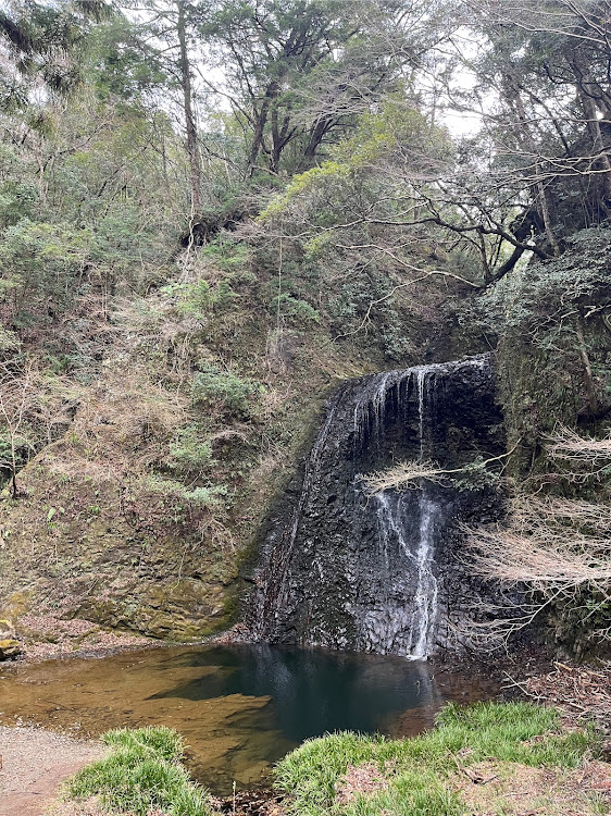 ロードスターの大山千枚田・誕生寺・四方木不動滝・鴨川に関するカスタム事例の投稿画像8枚目