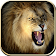 Wild Lion Hunt 2016 icon