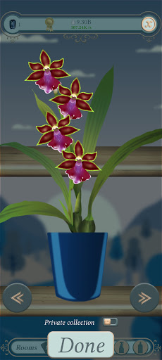 The Black Orchid - Orchids Nursery Idle Game