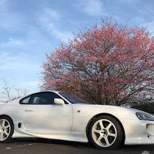 スープラ