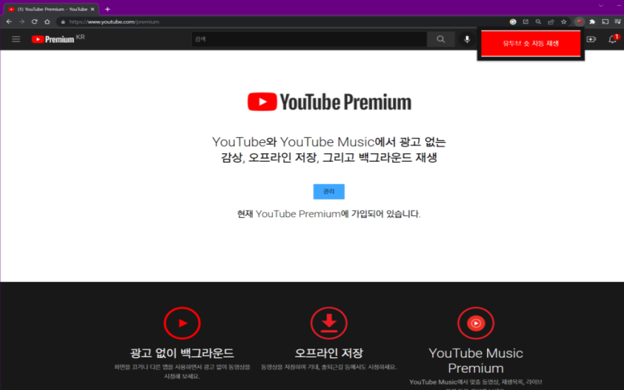 Youtube Shorts Auto Play Preview image 0