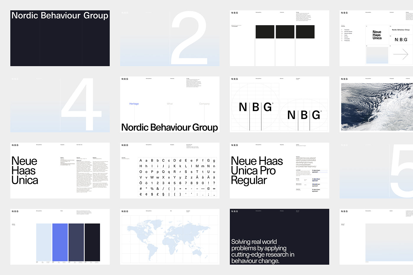 Branding and visual identity artifact from NBG project