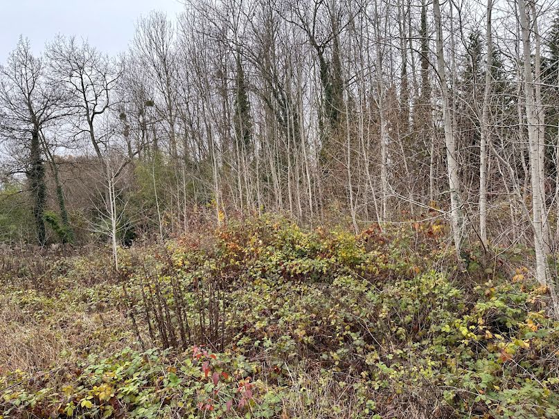 Vente terrain  2705 m² à Buthiers (77760), 157 500 €