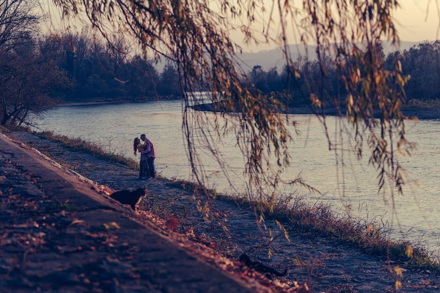 婚礼摄影师Aleksandar Stojanovic（stalexphotograp）。2018 12月21日的照片