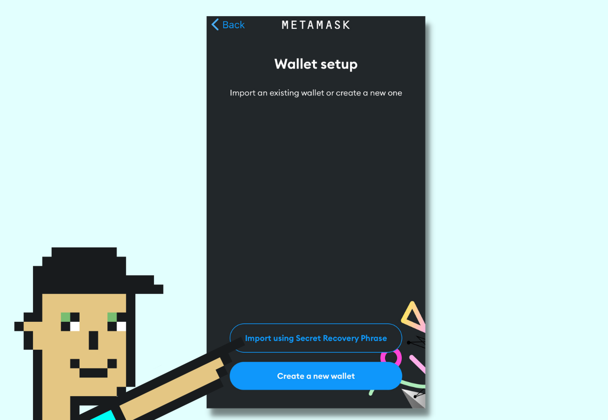 Wallet Setup screen in MetaMask.