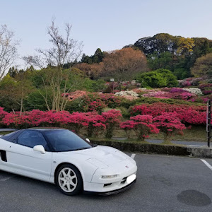 NSX NA1