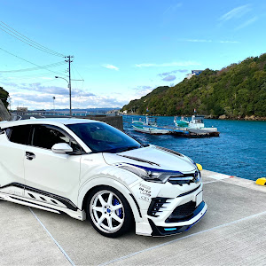 C-HR ZYX10