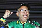 Limpopo premier Stan Mathabatha.