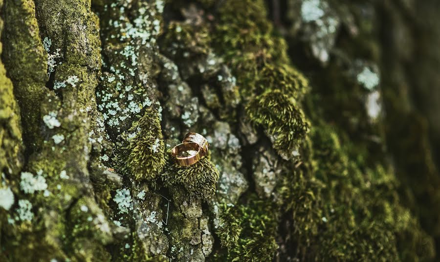 Vestuvių fotografas Violetta Careva (carevaviola). Nuotrauka 2017 liepos 3