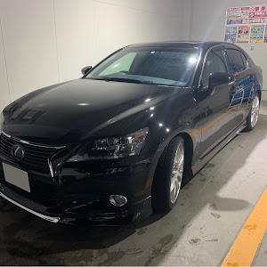 GS GWL10