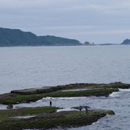 田中芳園