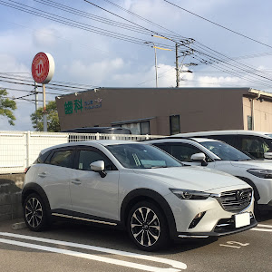 CX-3 DKEFW