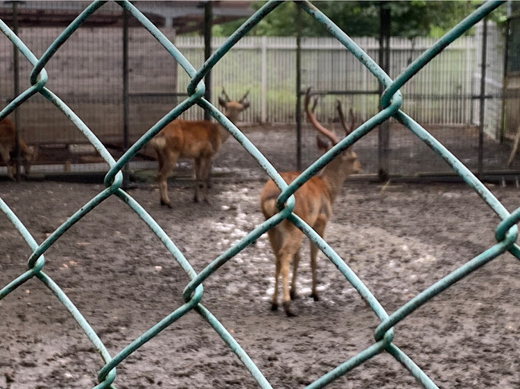 の投稿画像4枚目